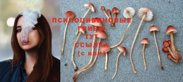 mdpv Кулебаки