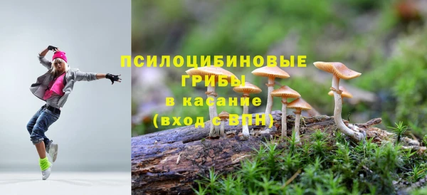 молекула духа Лабытнанги