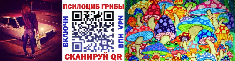 Купить где  Октябрьский  Псилоцибиновые грибы GOLDEN TEACHER